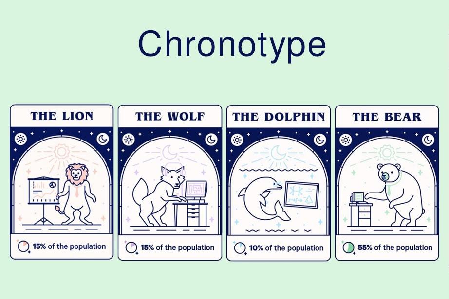 Identifikasi Chronotype Diri untuk Meningkatkan Produktivitas